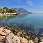 Zorica *